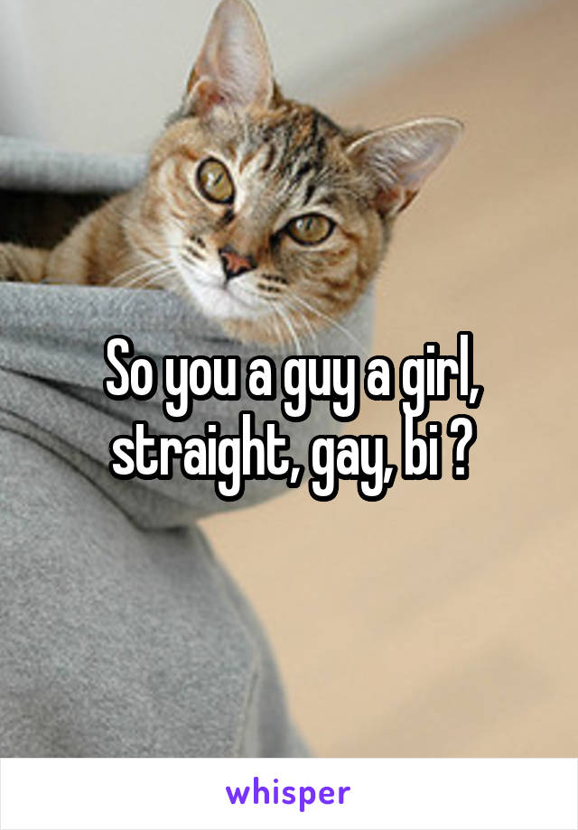 So you a guy a girl, straight, gay, bi ?
