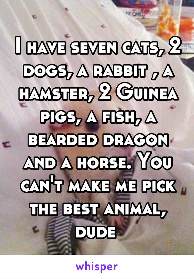 I have seven cats, 2 dogs, a rabbit , a hamster, 2 Guinea pigs, a fish, a bearded dragon and a horse. You can't make me pick the best animal, dude 