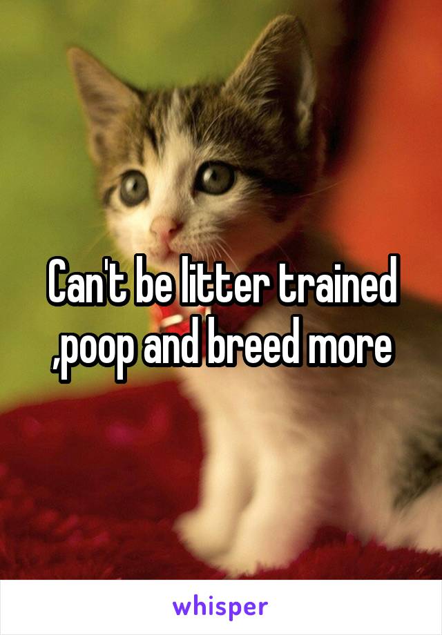 Can't be litter trained ,poop and breed more