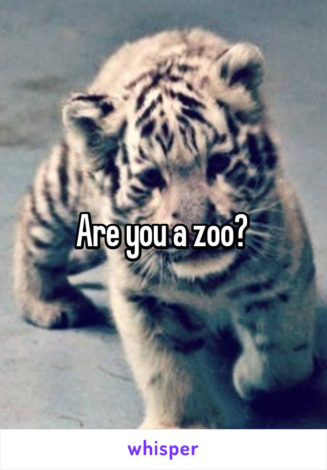 Are you a zoo? 