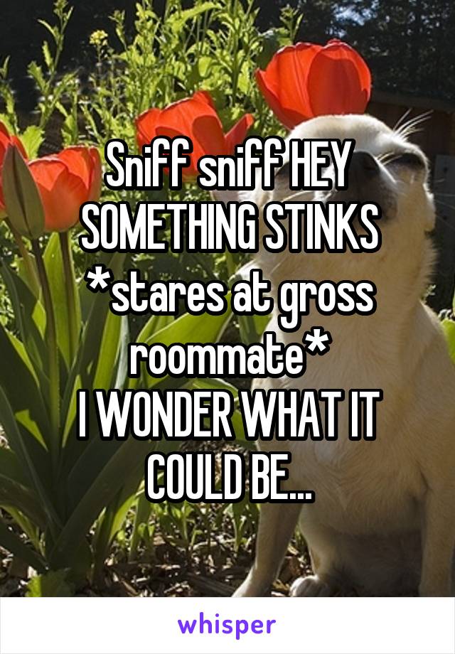 Sniff sniff HEY SOMETHING STINKS
*stares at gross roommate*
I WONDER WHAT IT COULD BE...