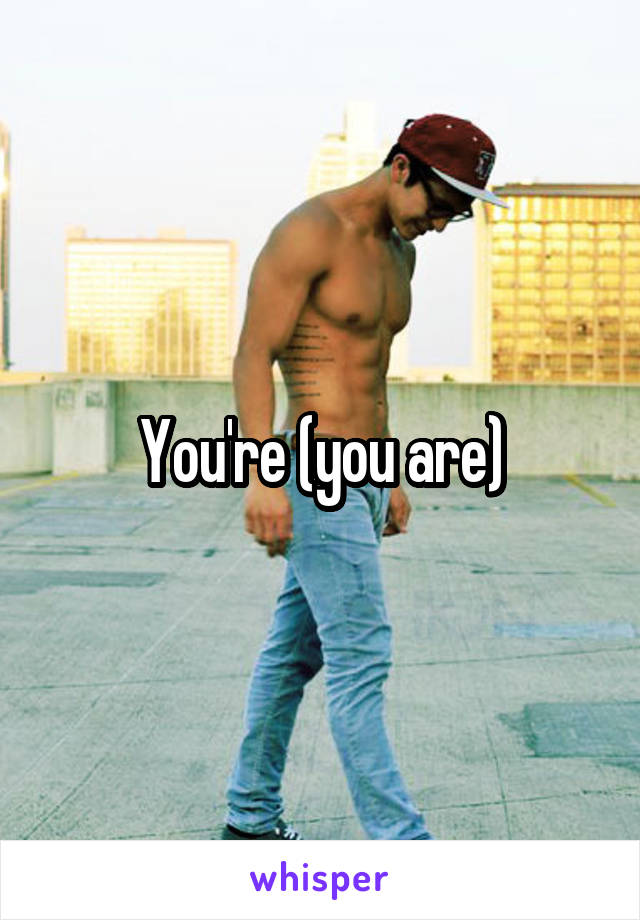 You're (you are)