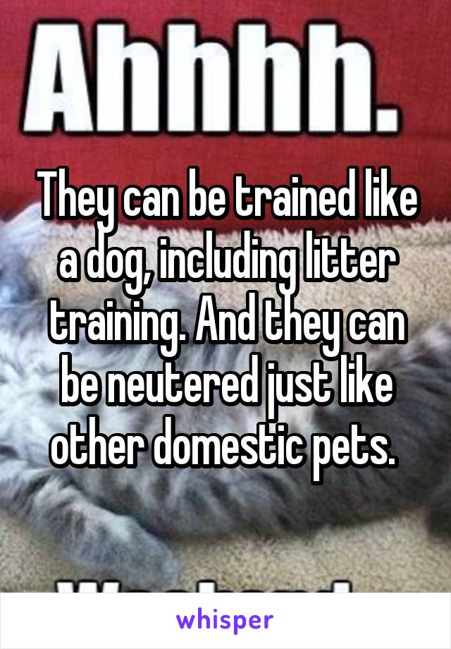 They can be trained like a dog, including litter training. And they can be neutered just like other domestic pets. 