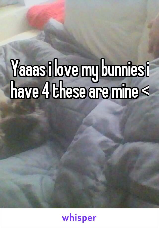 Yaaas i love my bunnies i have 4 these are mine <


