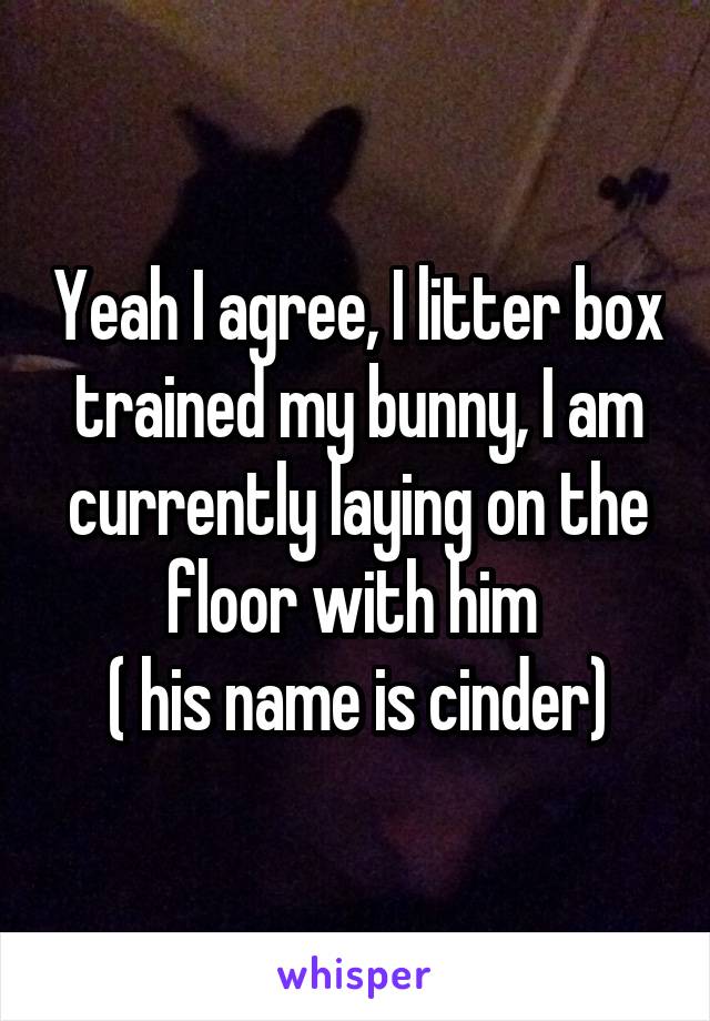 Yeah I agree, I litter box trained my bunny, I am currently laying on the floor with him 
( his name is cinder)