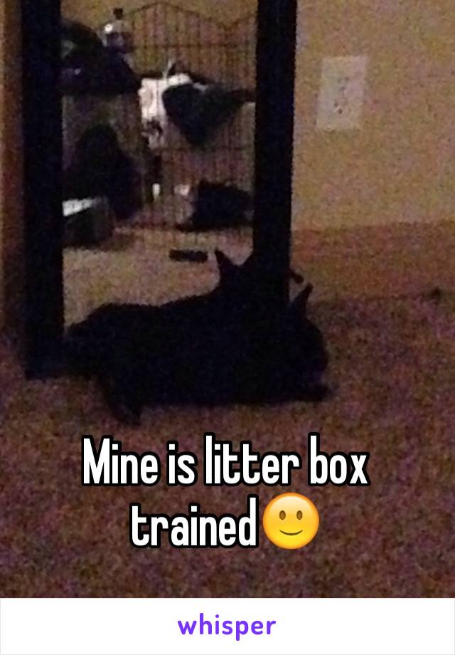 Mine is litter box trained🙂