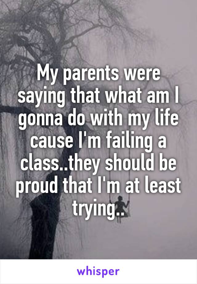 My parents were saying that what am I gonna do with my life cause I'm failing a class..they should be proud that I'm at least trying..