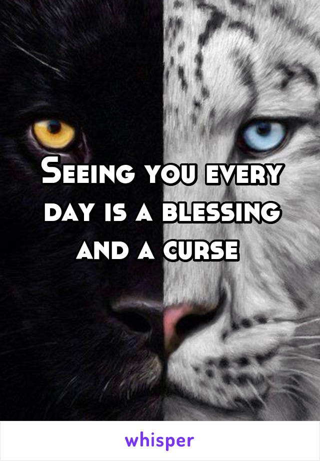 Seeing you every day is a blessing and a curse 
