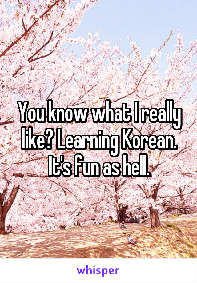 You know what I really like? Learning Korean. It's fun as hell.