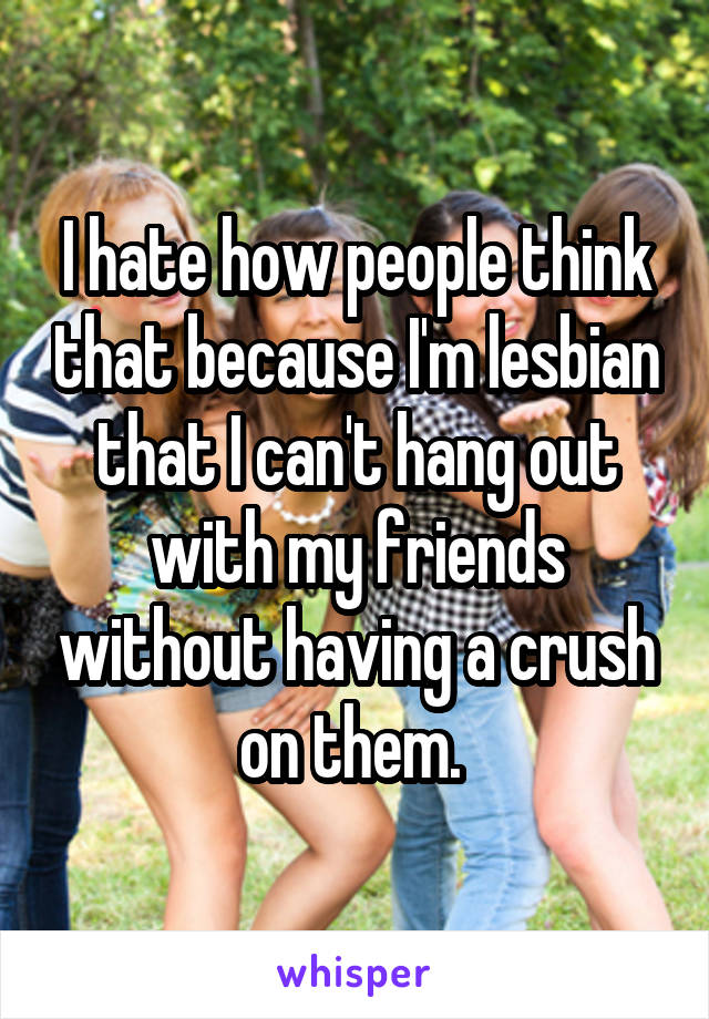 I hate how people think that because I'm lesbian that I can't hang out with my friends without having a crush on them. 