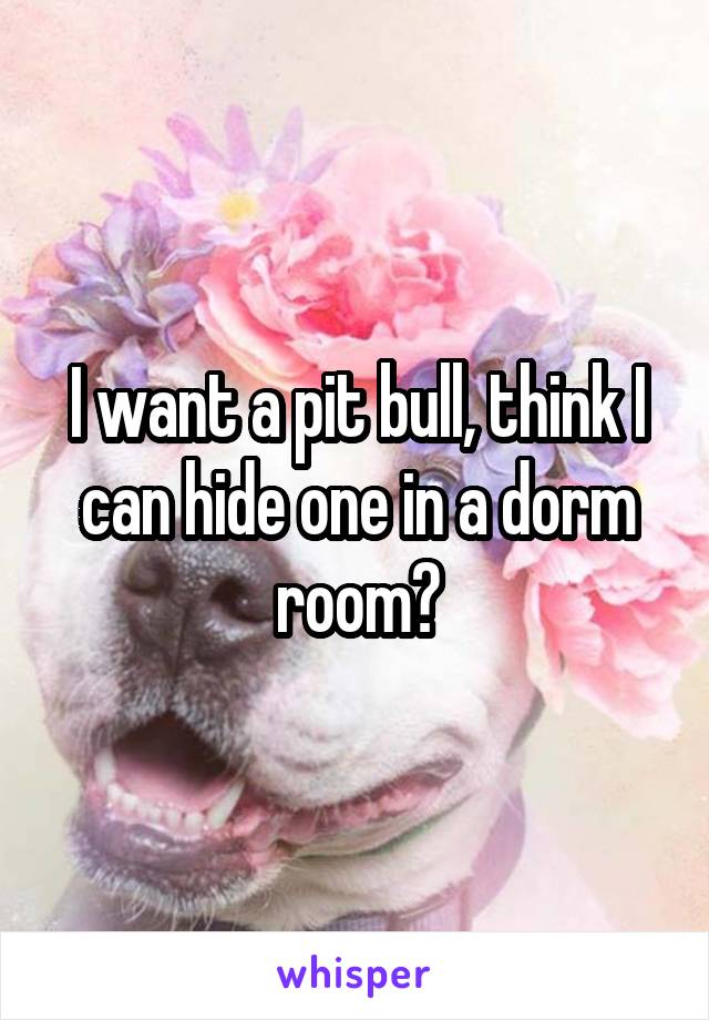 I want a pit bull, think I can hide one in a dorm room?