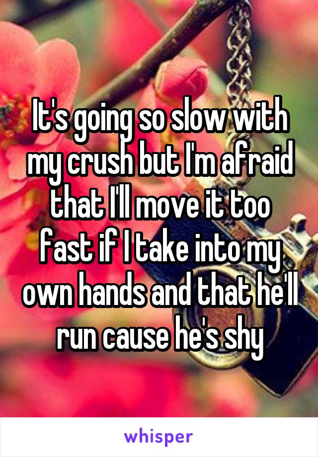 It's going so slow with my crush but I'm afraid that I'll move it too fast if I take into my own hands and that he'll run cause he's shy