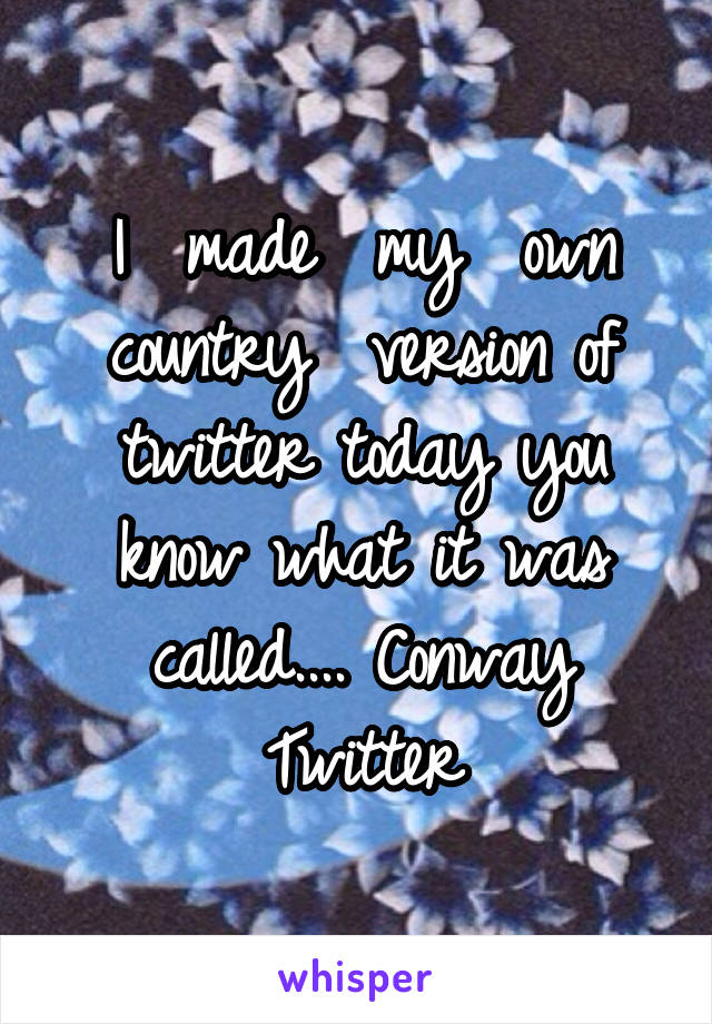 I  made  my  own country  version of twitter today you know what it was called.... Conway Twitter