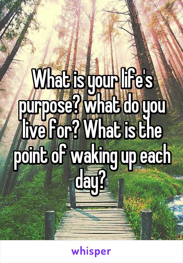 What is your life's purpose? what do you live for? What is the point of waking up each day? 