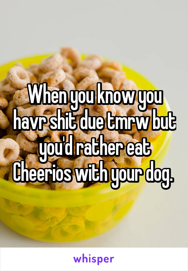 When you know you havr shit due tmrw but you'd rather eat Cheerios with your dog. 