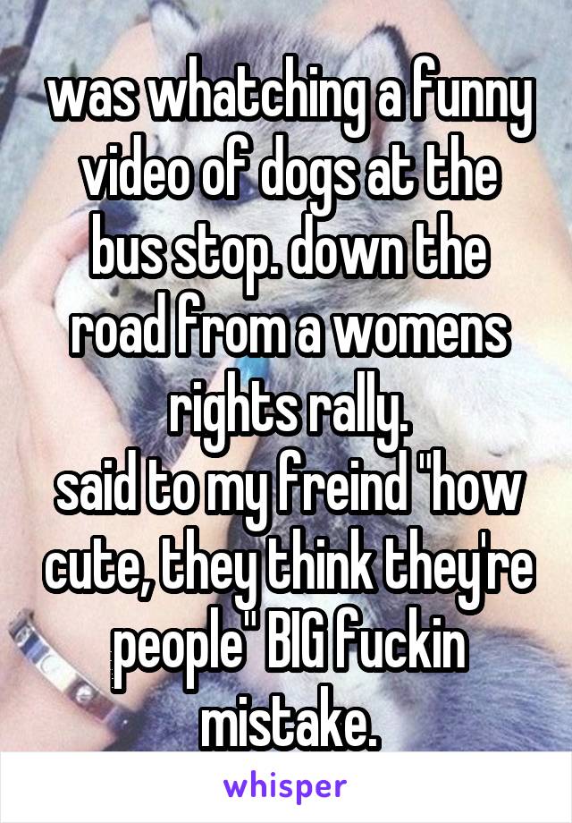 was whatching a funny video of dogs at the bus stop. down the road from a womens rights rally.
said to my freind "how cute, they think they're people" BIG fuckin mistake.