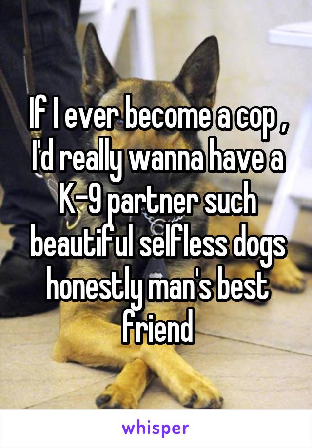 If I ever become a cop , I'd really wanna have a K-9 partner such beautiful selfless dogs honestly man's best friend