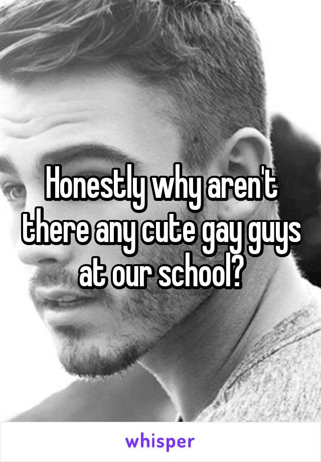 Honestly why aren't there any cute gay guys at our school?
