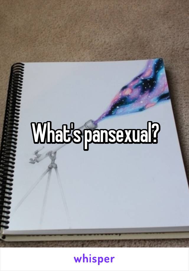 What's pansexual?