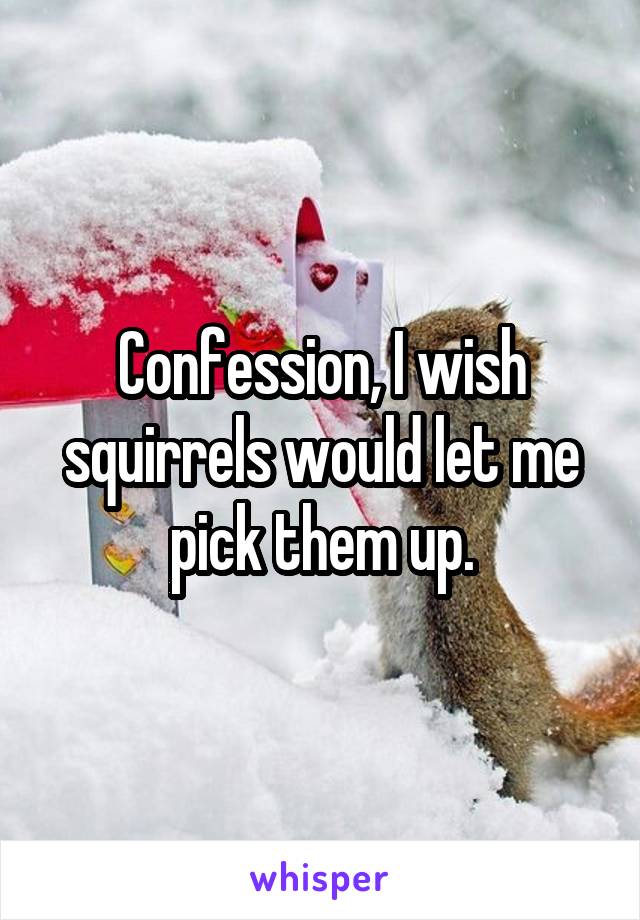 Confession, I wish squirrels would let me pick them up.