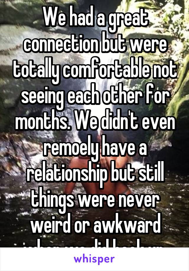 We had a great connection but were totally comfortable not seeing each other for months. We didn't even remoely have a relationship but still things were never weird or awkward when we did hook up.