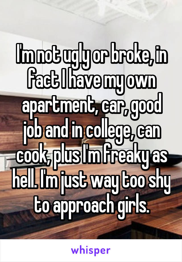 I'm not ugly or broke, in fact I have my own apartment, car, good job and in college, can cook, plus I'm freaky as hell. I'm just way too shy to approach girls.
