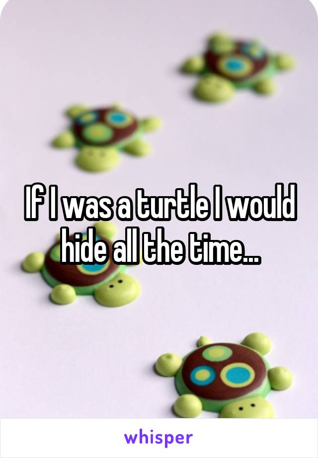 If I was a turtle I would hide all the time...