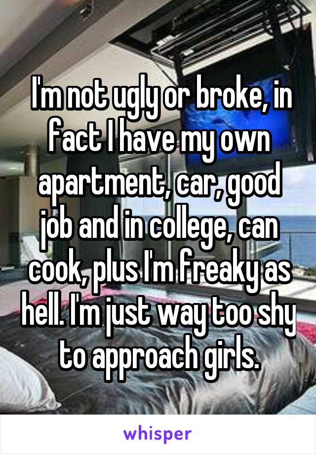  I'm not ugly or broke, in fact I have my own apartment, car, good job and in college, can cook, plus I'm freaky as hell. I'm just way too shy to approach girls.