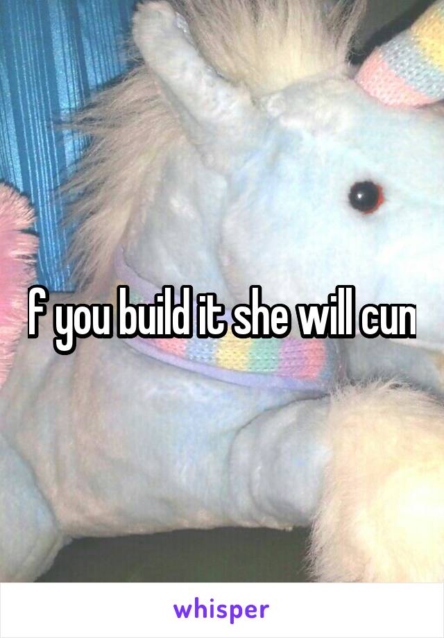 If you build it she will cum