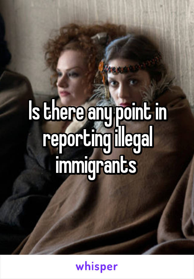 Is there any point in reporting illegal immigrants 