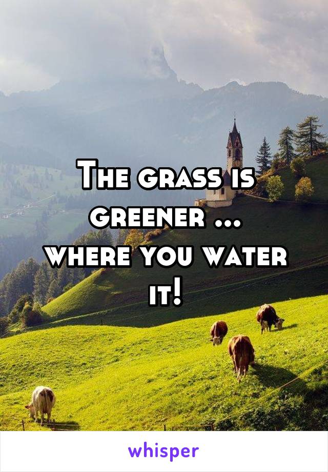 The grass is greener ...
where you water it!