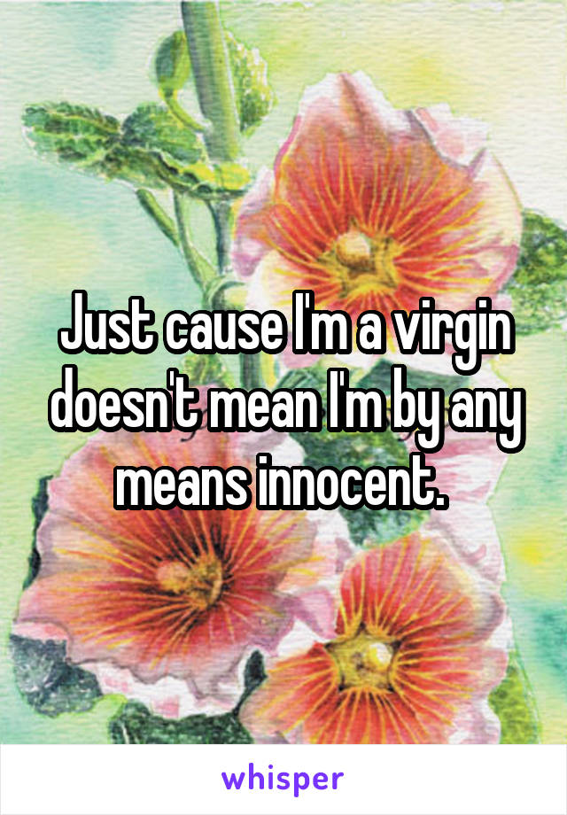 Just cause I'm a virgin doesn't mean I'm by any means innocent. 