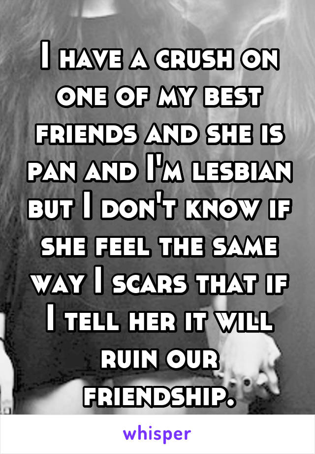 I have a crush on one of my best friends and she is pan and I'm lesbian but I don't know if she feel the same way I scars that if I tell her it will ruin our friendship.