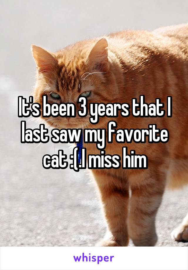 It's been 3 years that I last saw my favorite cat :(.I miss him