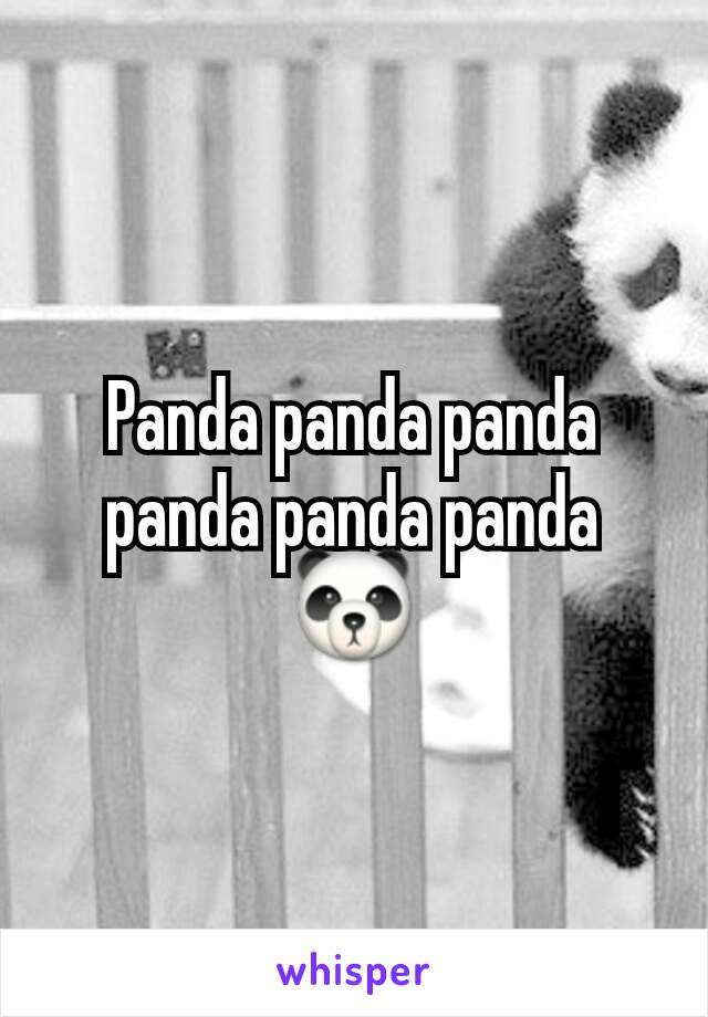 Panda panda panda panda panda panda 🐼