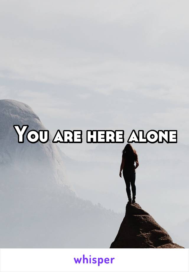 You are here alone