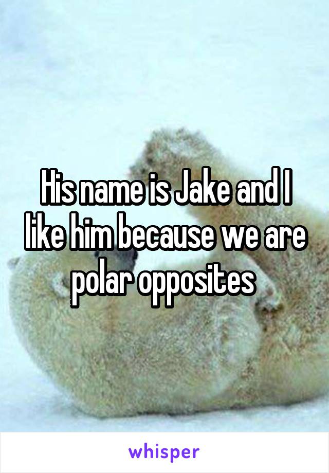 His name is Jake and I like him because we are polar opposites 