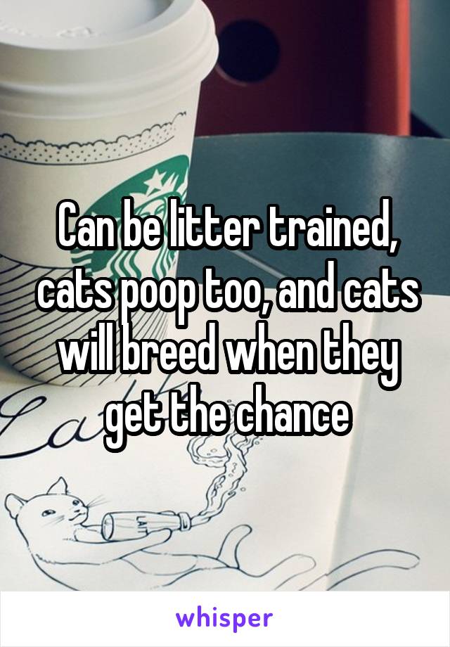 Can be litter trained, cats poop too, and cats will breed when they get the chance