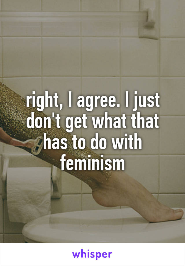 right, I agree. I just don't get what that has to do with feminism