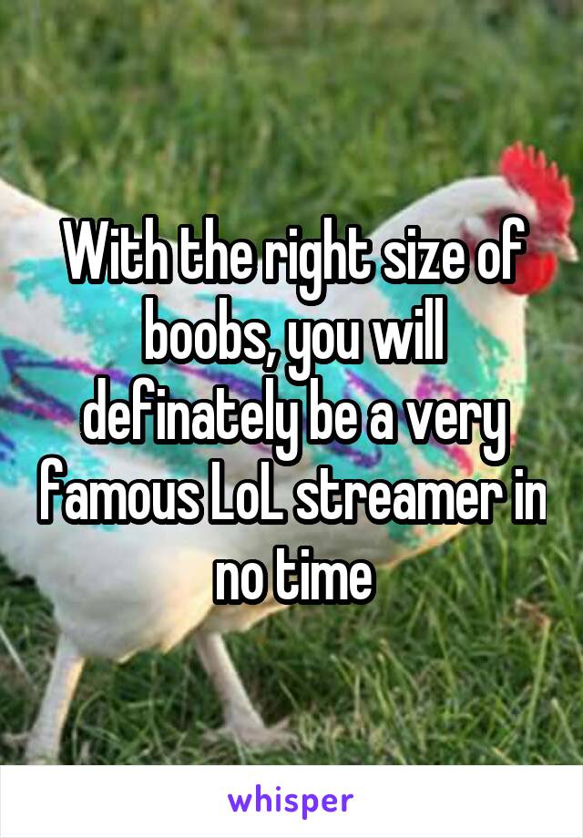 With the right size of boobs, you will definately be a very famous LoL streamer in no time