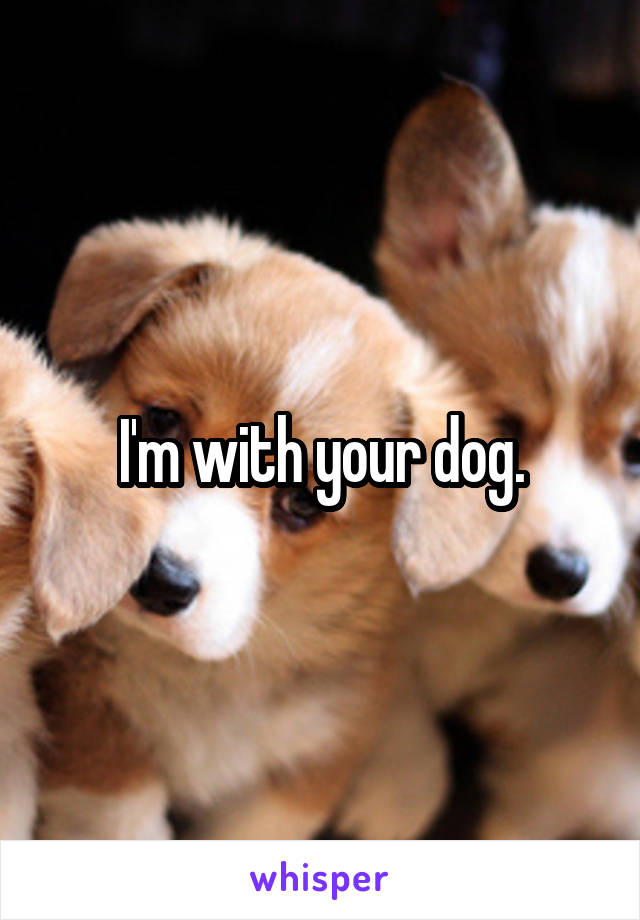 I'm with your dog.