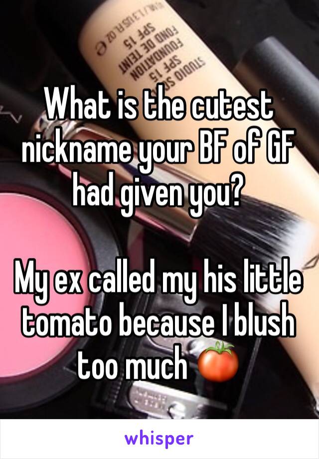 What is the cutest nickname your BF of GF had given you?

My ex called my his little tomato because I blush too much 🍅