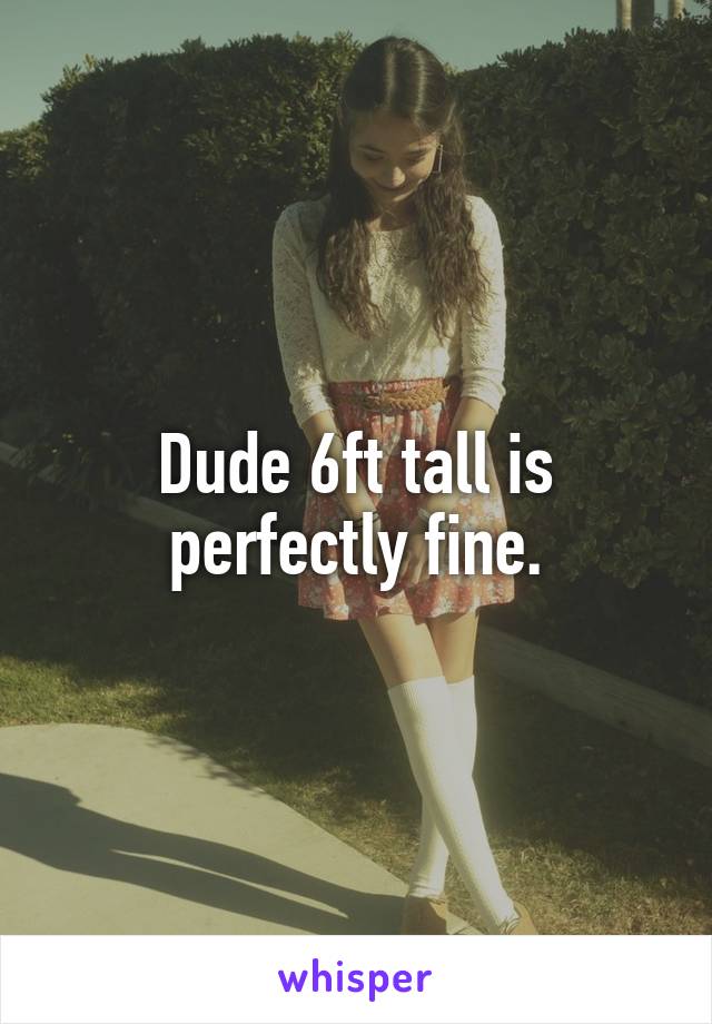 Dude 6ft tall is perfectly fine.