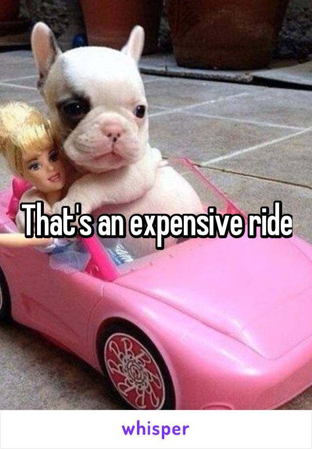 That's an expensive ride