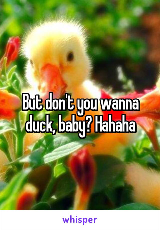 But don't you wanna duck, baby? Hahaha