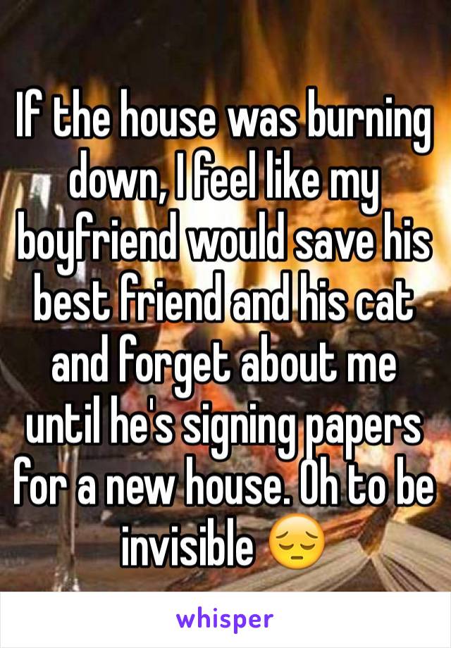 If the house was burning down, I feel like my boyfriend would save his best friend and his cat and forget about me until he's signing papers for a new house. Oh to be invisible 😔