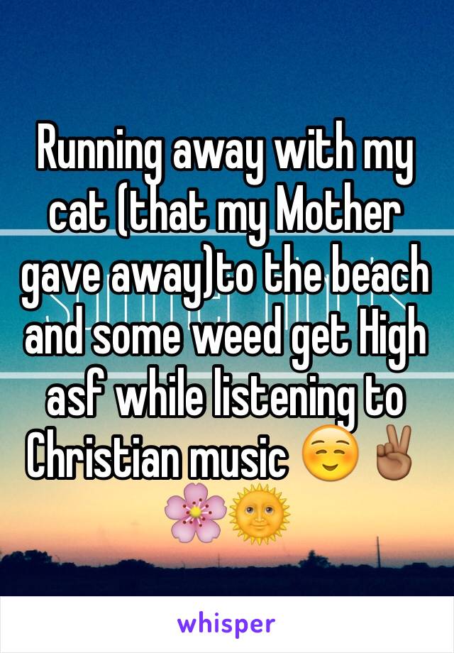 Running away with my cat (that my Mother gave away)to the beach  and some weed get High asf while listening to Christian music ☺️✌🏾️🌸🌞