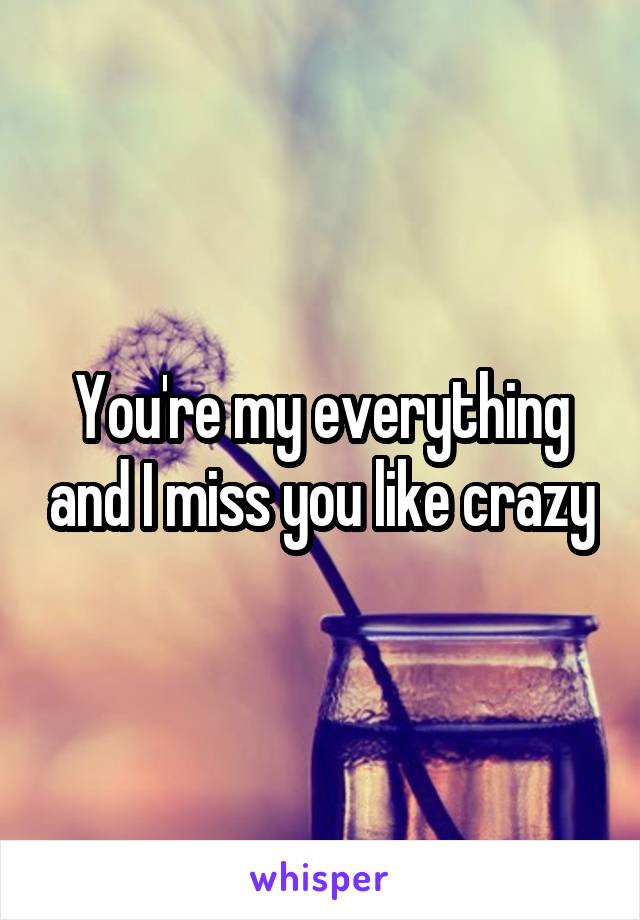 You're my everything and I miss you like crazy