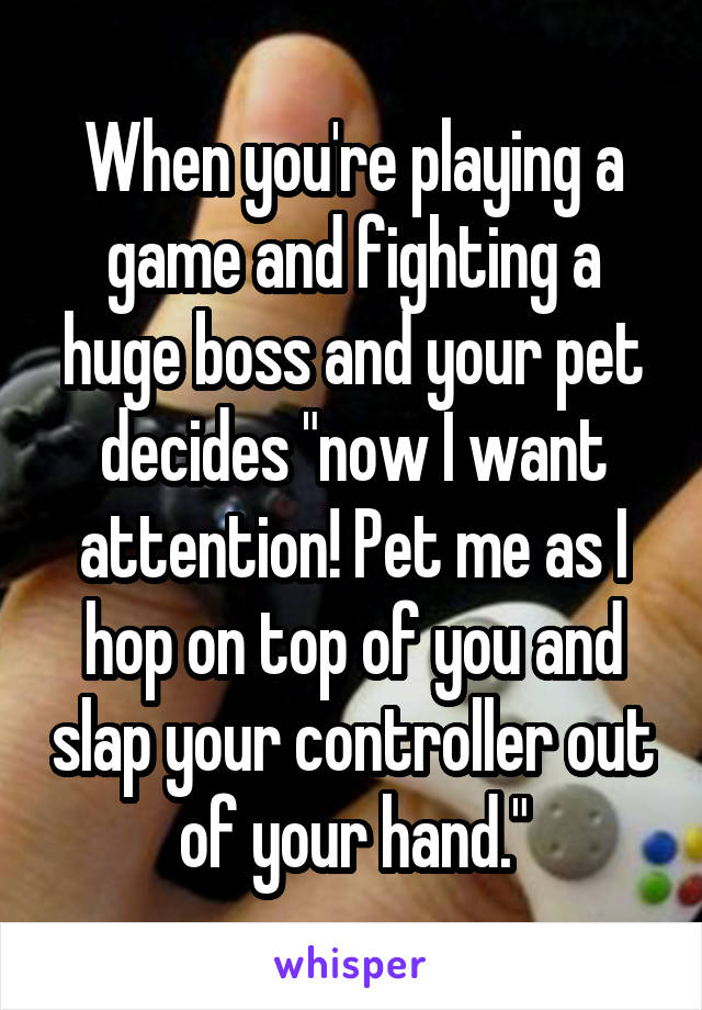 When you're playing a game and fighting a huge boss and your pet decides "now I want attention! Pet me as I hop on top of you and slap your controller out of your hand."