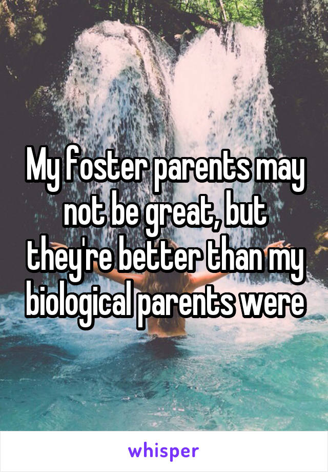 My foster parents may not be great, but they're better than my biological parents were